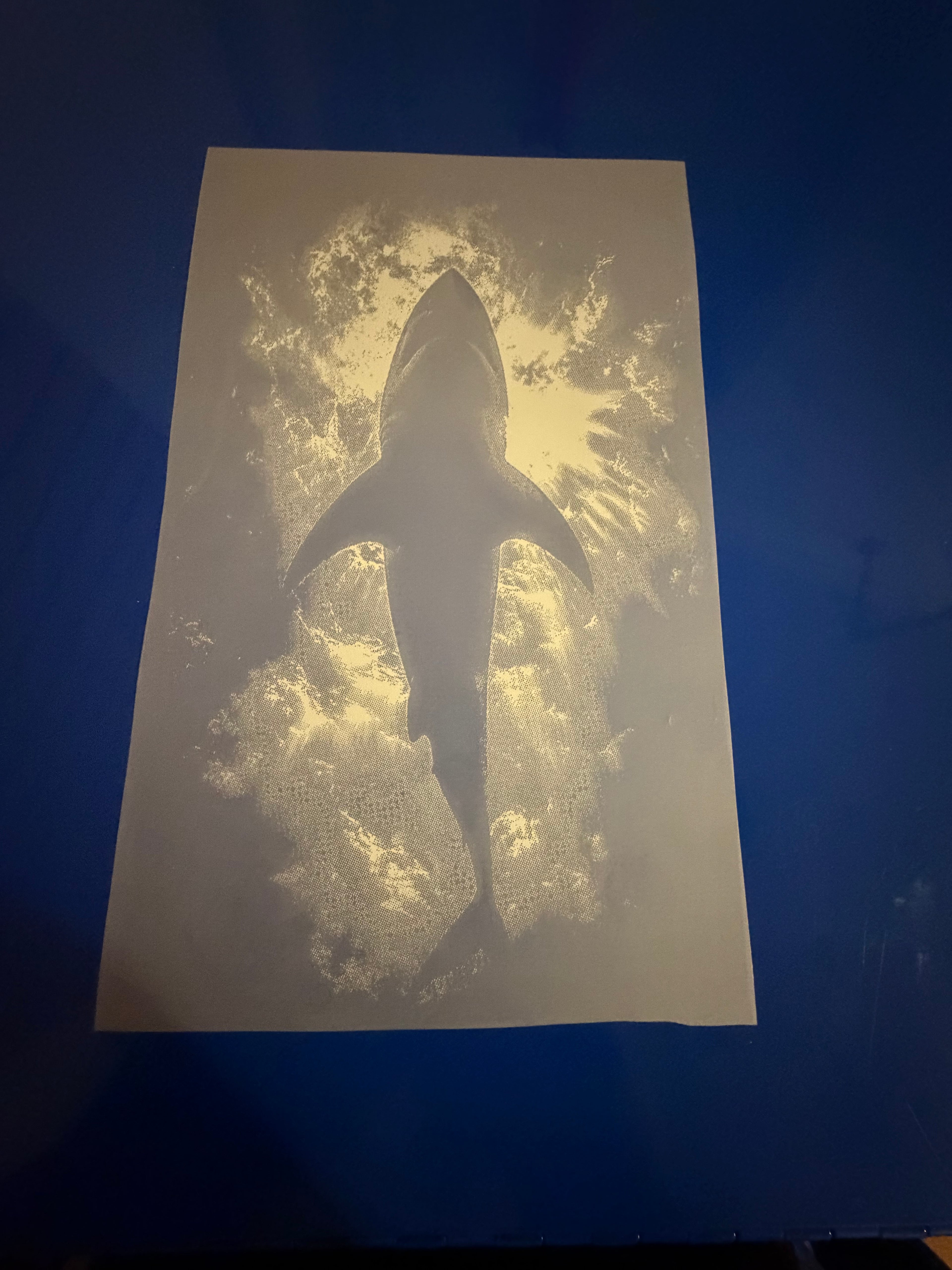 Shark